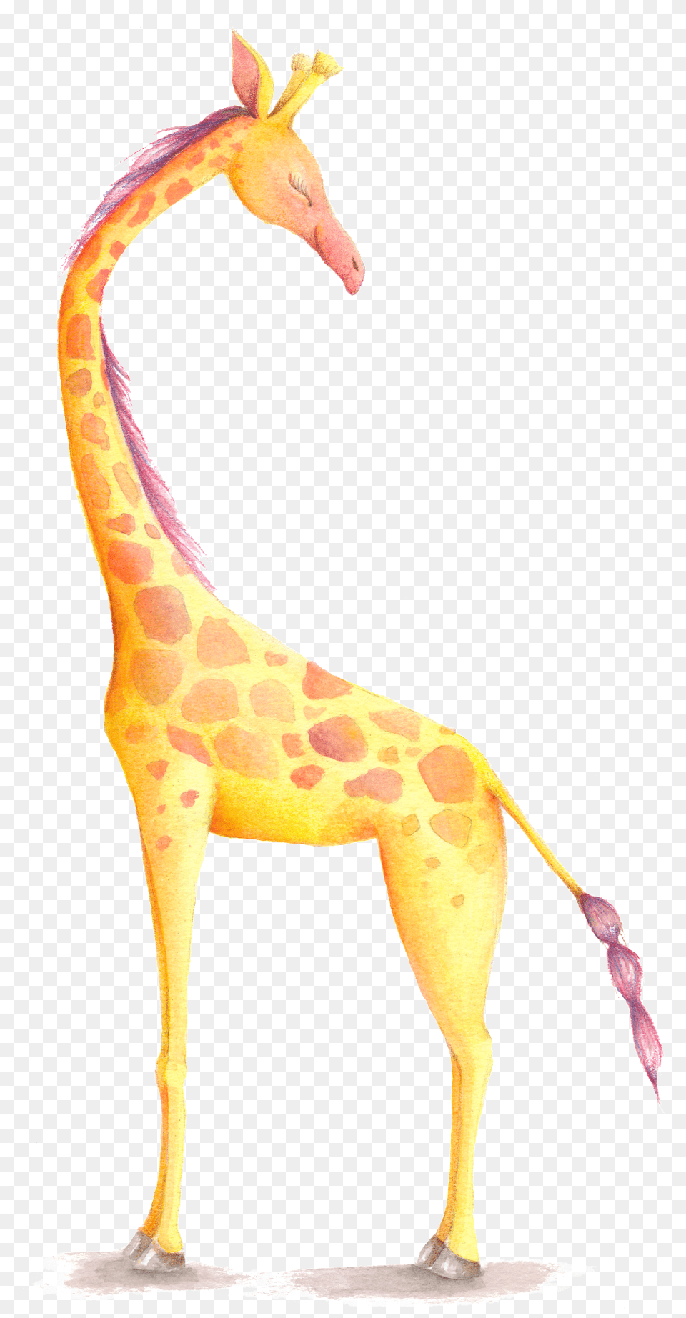 Giraffe Cartoon Transparent Bullet Journal For Animal Giraffe, Mammal, Wildlife, Antelope Png