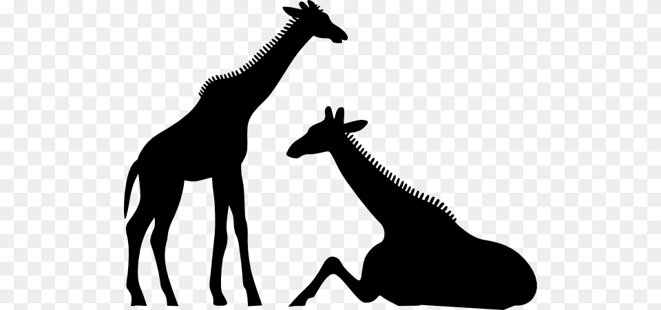 Giraffe Clip Art, Silhouette, Animal, Mammal, Wildlife Png