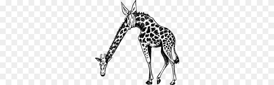 Giraffe Clip Art, Gray Png