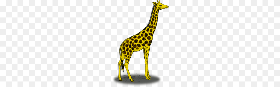 Giraffe Clip Art, Animal, Mammal, Wildlife Free Png Download