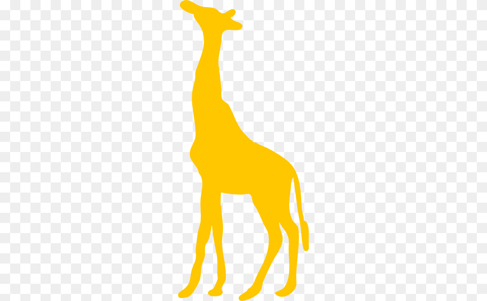 Giraffe Clip Art, Animal, Mammal, Kangaroo Png Image