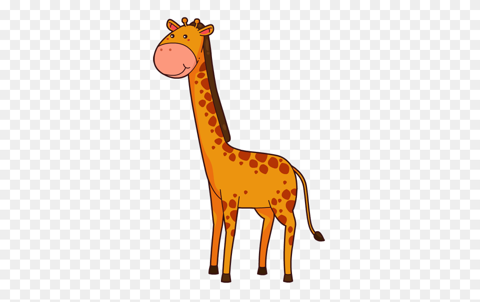 Giraffe Clip Art, Animal, Mammal, Wildlife, Zebra Free Png
