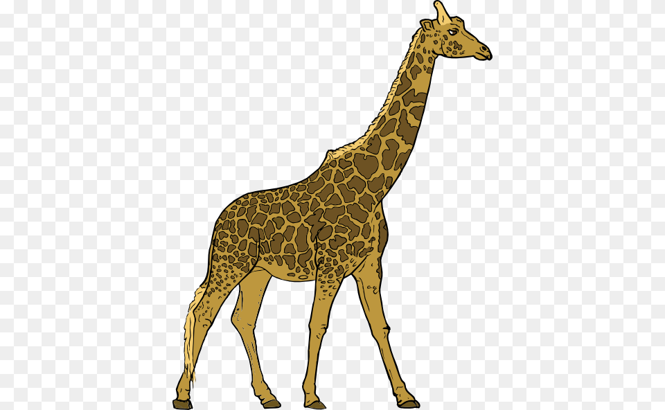 Giraffe Clip Art For Web, Animal, Mammal, Wildlife Free Png Download