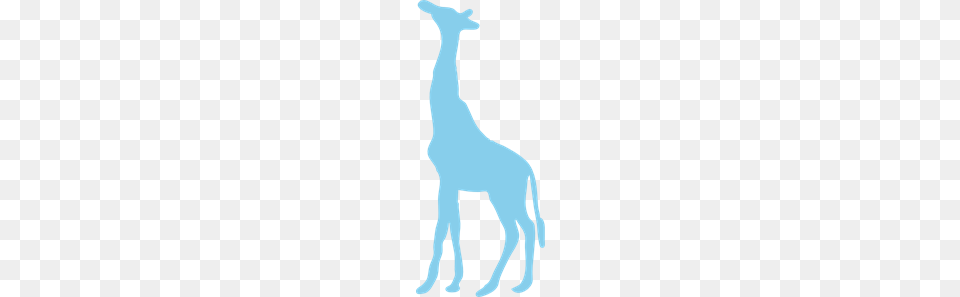 Giraffe Clip Art For Web, Animal, Mammal Free Png