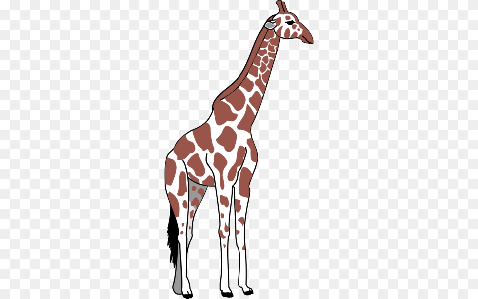 Giraffe Clip Arts For Web Tall Animal Clip Art, Mammal, Wildlife Free Png Download
