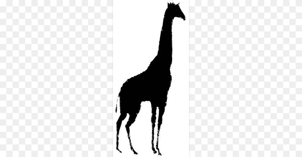 Giraffe Clip Black And White Arts Vector, Silhouette, Stencil, Animal, Horse Free Png Download