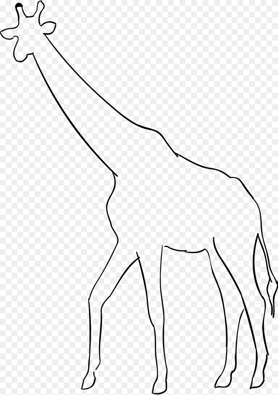 Giraffe Clipart, Animal, Mammal, Wildlife, Kangaroo Free Png Download