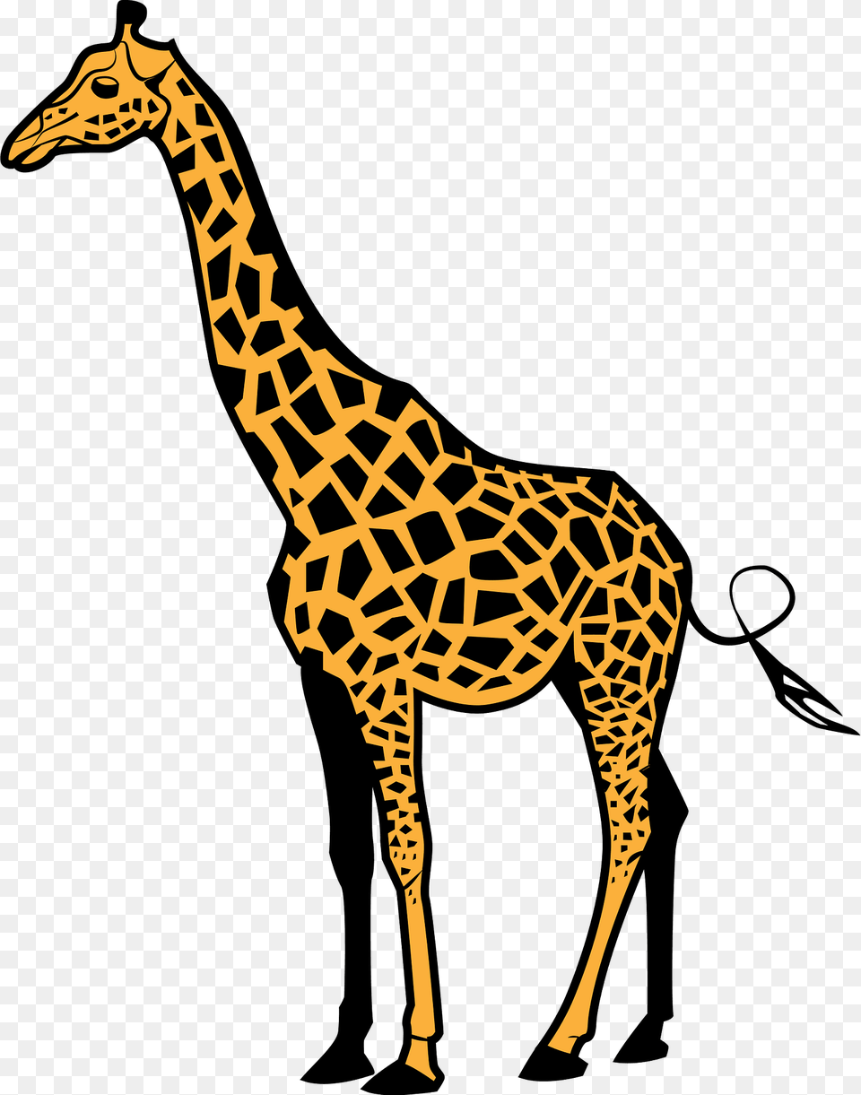 Giraffe Clipart, Animal, Mammal, Wildlife Free Png