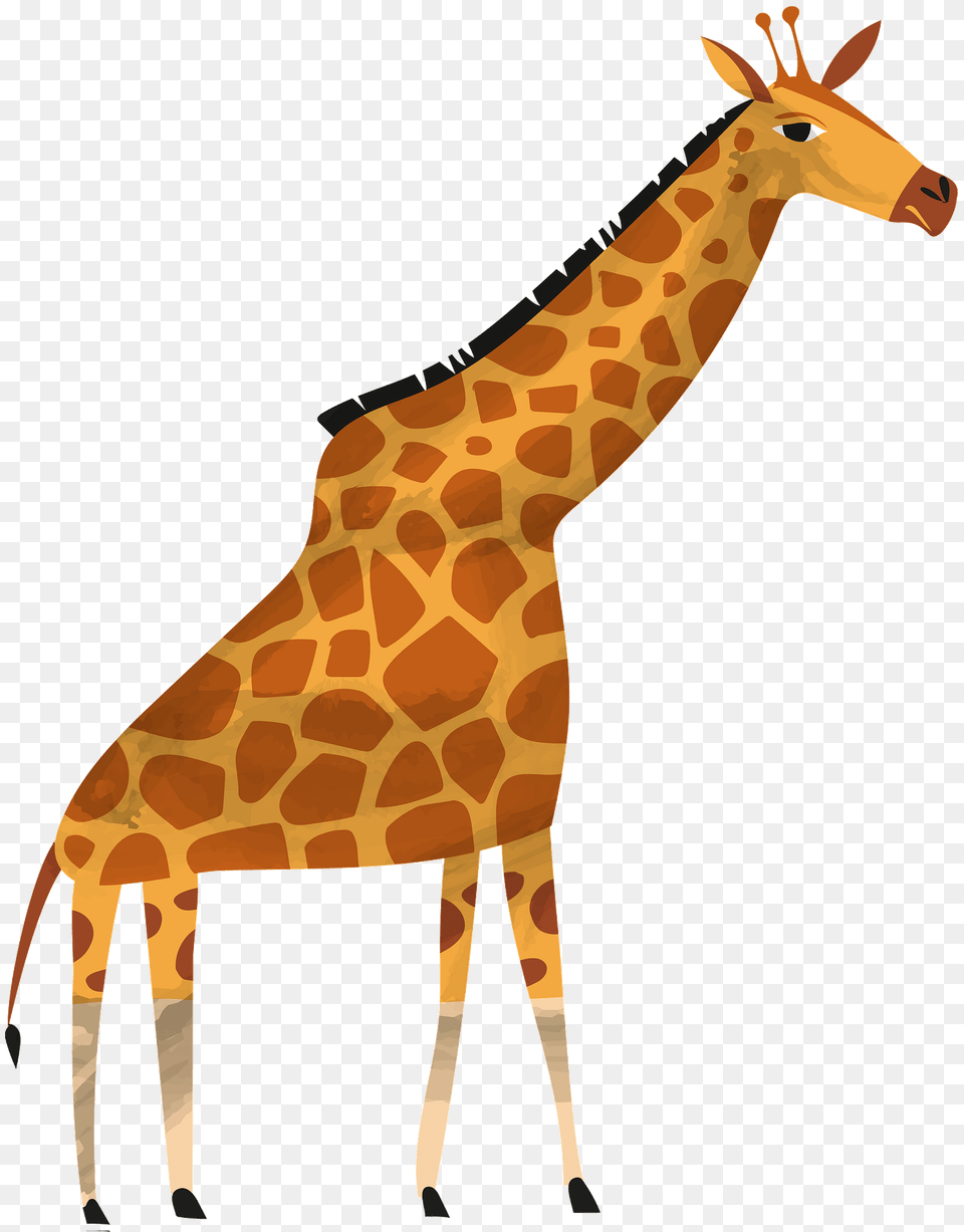 Giraffe Clipart, Animal, Mammal, Wildlife Png