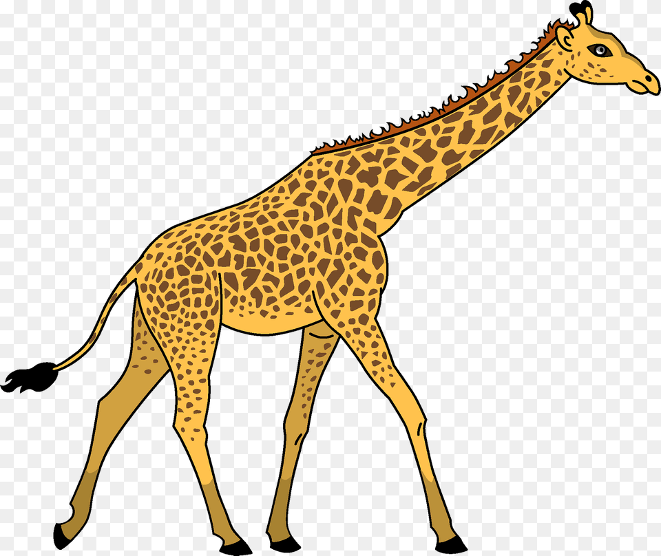 Giraffe Clipart, Animal, Mammal, Wildlife Free Transparent Png