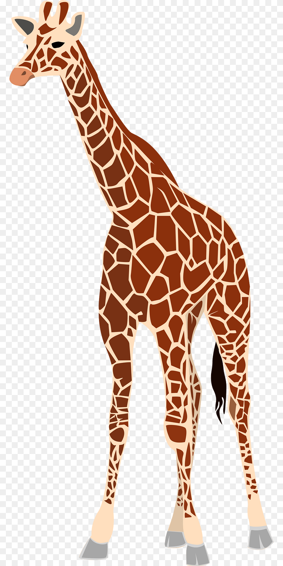 Giraffe Clipart, Animal, Mammal, Wildlife Png