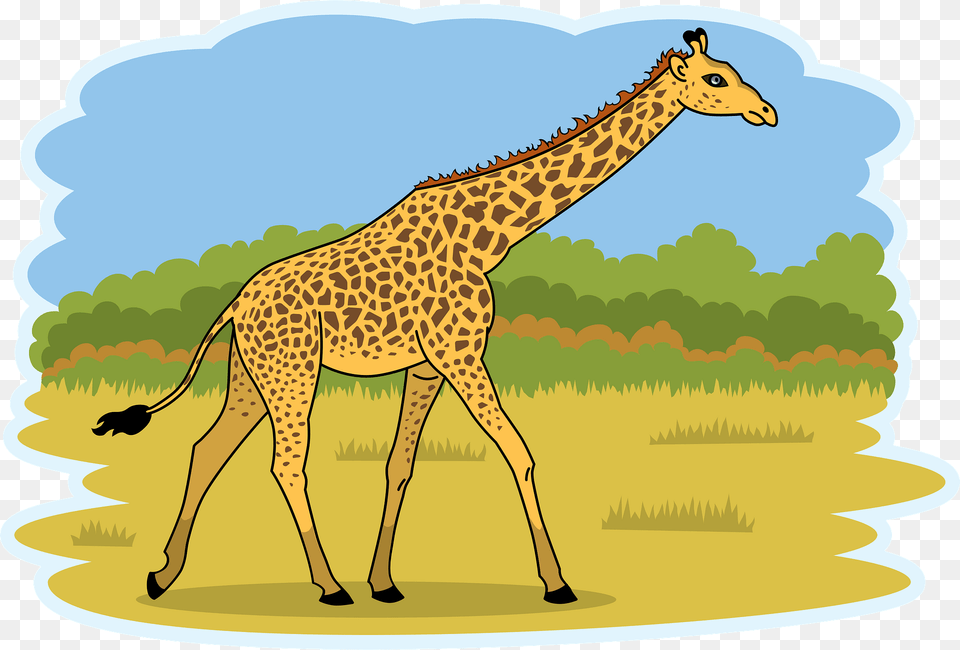 Giraffe Clipart, Animal, Mammal, Wildlife Free Png Download