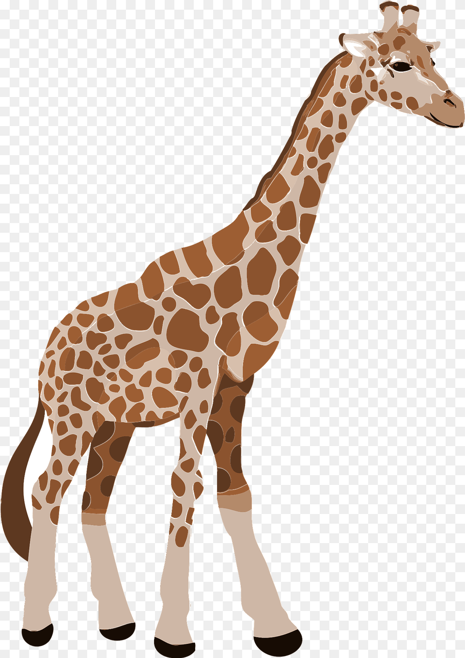 Giraffe Clipart, Animal, Mammal, Wildlife Free Transparent Png
