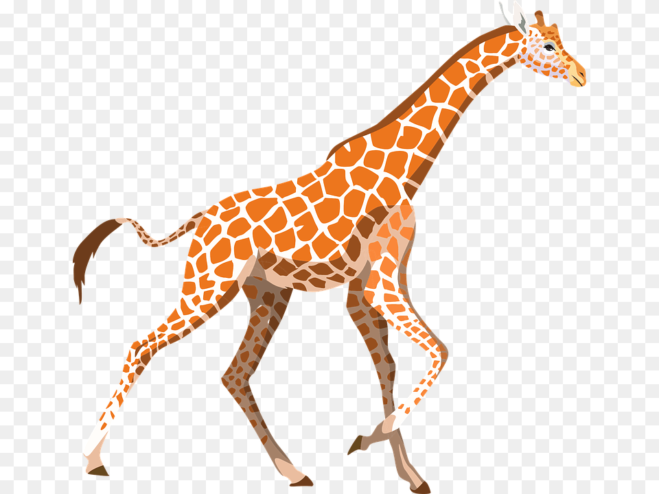 Giraffe Clipart, Animal, Mammal, Wildlife Free Png Download