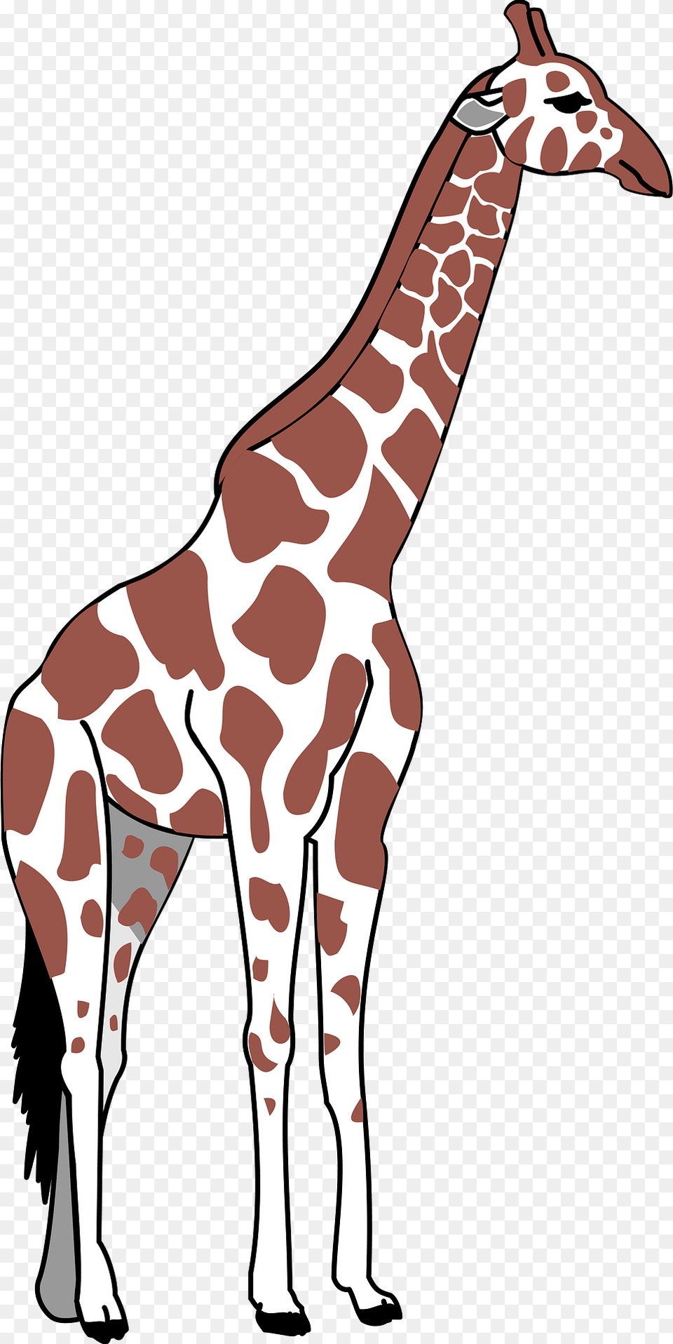 Giraffe Clipart, Animal, Mammal, Wildlife, Adult Free Transparent Png