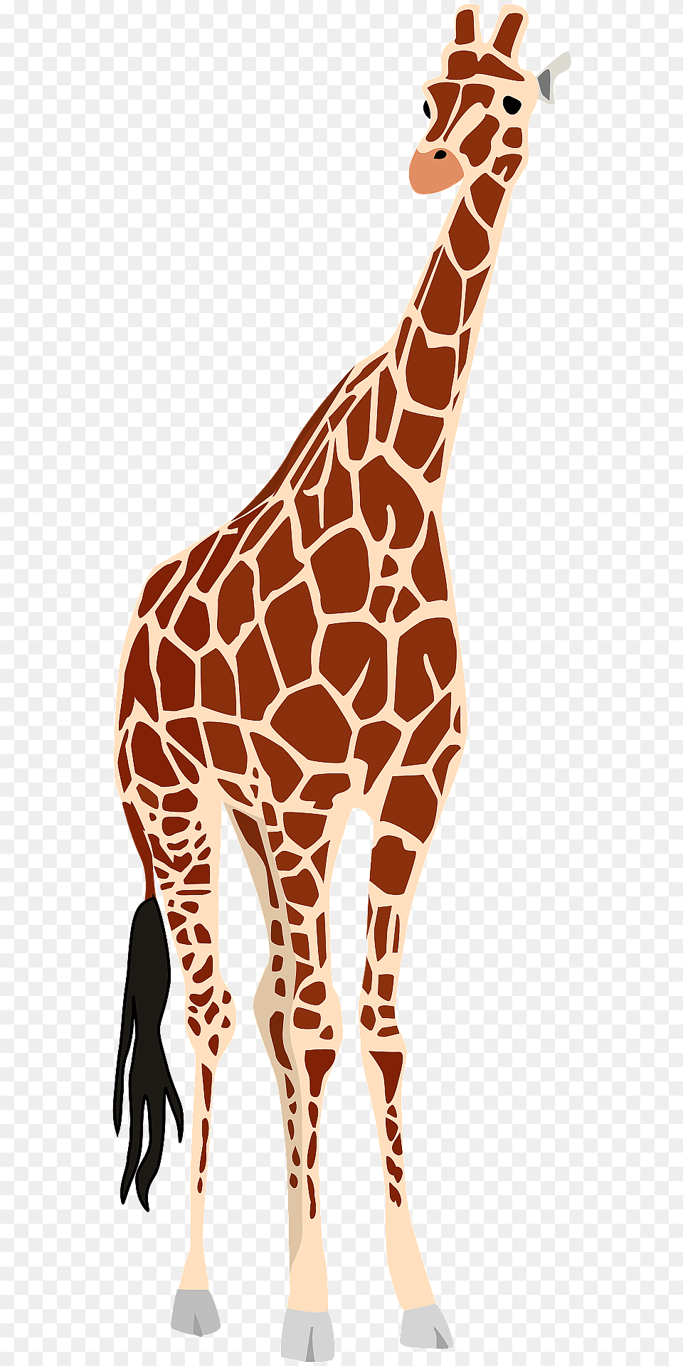 Giraffe Clipart, Animal, Mammal, Wildlife Free Png Download