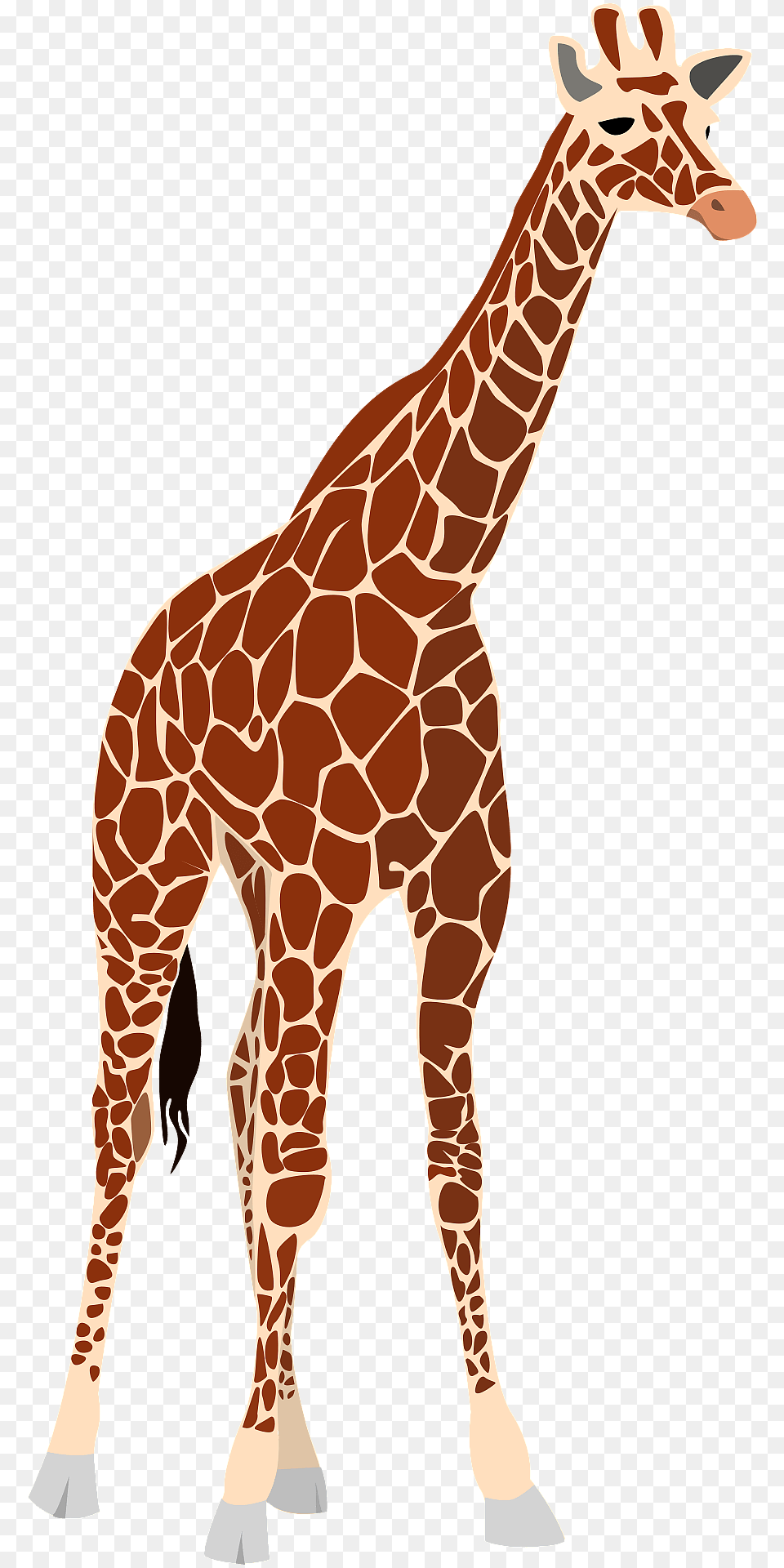 Giraffe Clipart, Animal, Mammal, Wildlife Free Png Download