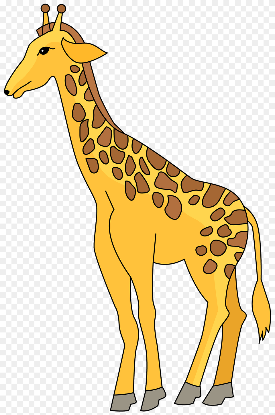 Giraffe Clipart, Animal, Mammal, Wildlife, Antelope Free Png