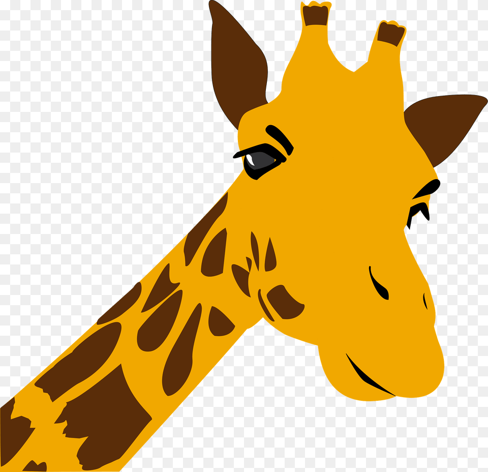 Giraffe Clipart, Animal, Mammal, Wildlife, Kangaroo Free Transparent Png