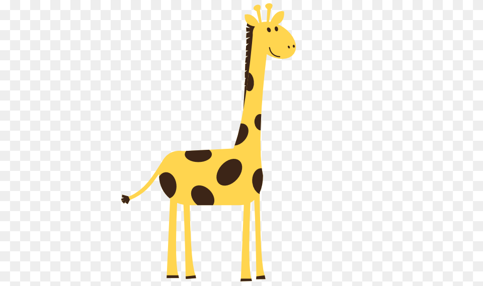 Giraffe Clipart, Animal, Kangaroo, Mammal, Wildlife Png