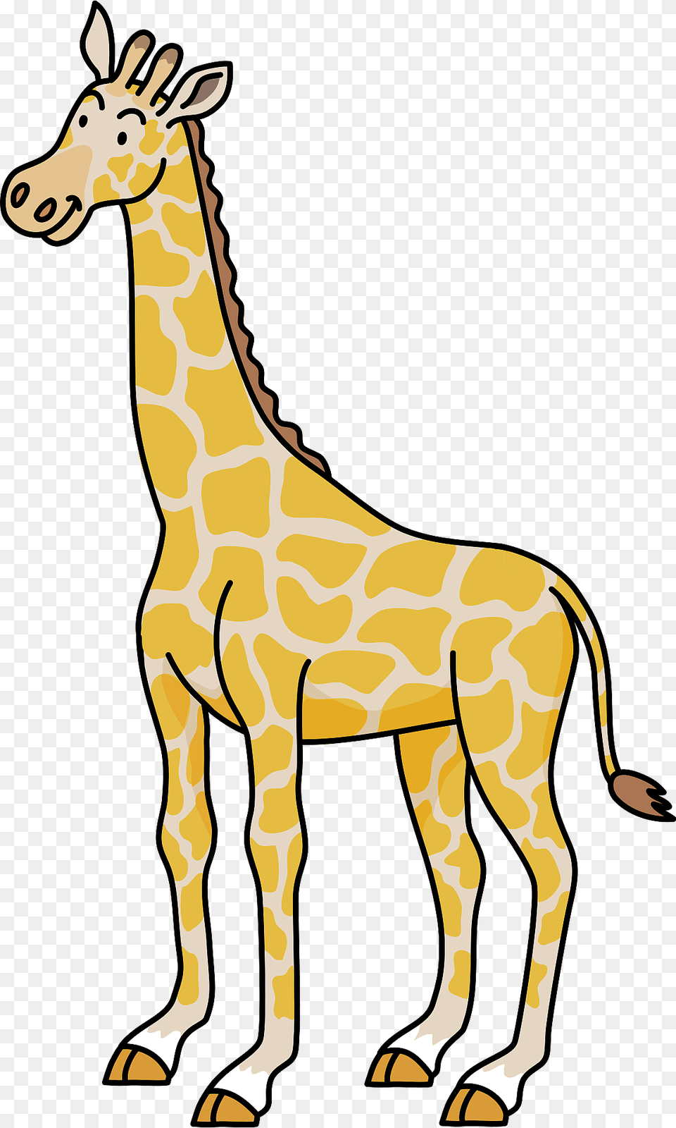 Giraffe Clipart, Animal, Mammal, Wildlife, Kangaroo Png