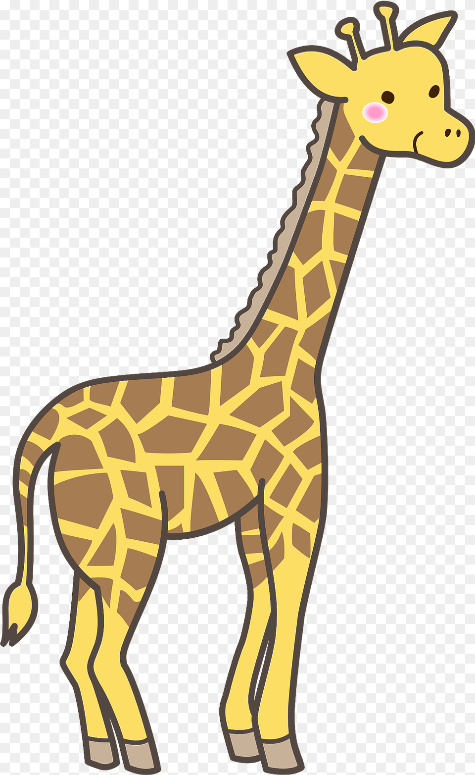 Giraffe Clipart, Animal, Mammal, Wildlife, Kangaroo Free Transparent Png