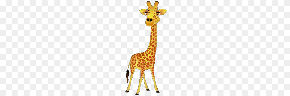 Giraffe Clipart, Animal, Mammal, Wildlife Free Png Download