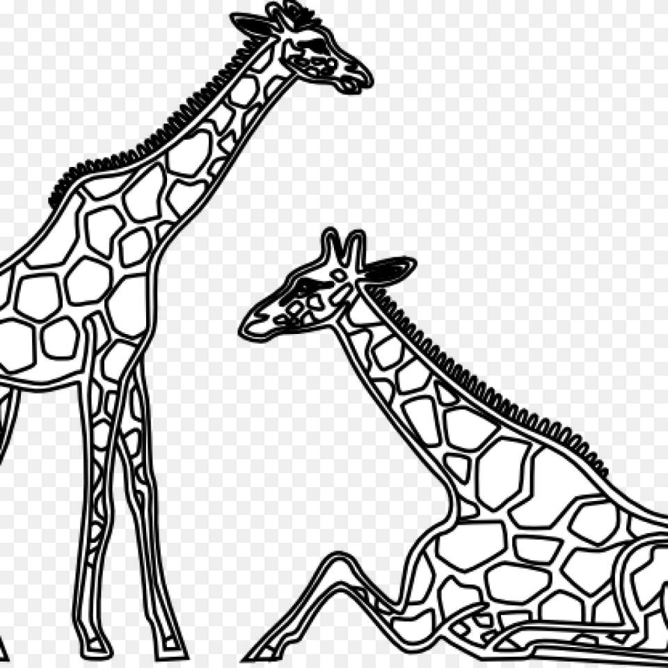 Giraffe Clipart Black And White Graduation Cap Clipart House, Animal, Mammal, Wildlife Free Png