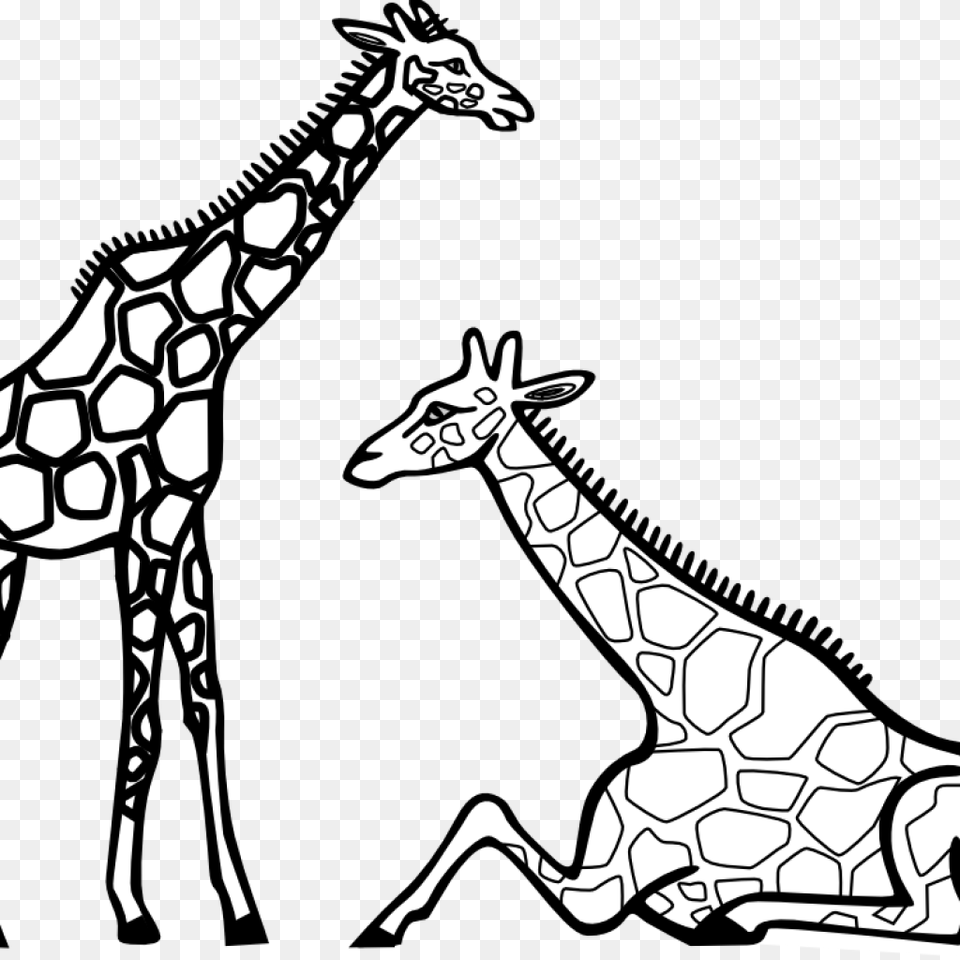 Giraffe Clipart Black And White Unicorn Clipart, Stencil, Animal, Mammal, Wildlife Free Transparent Png