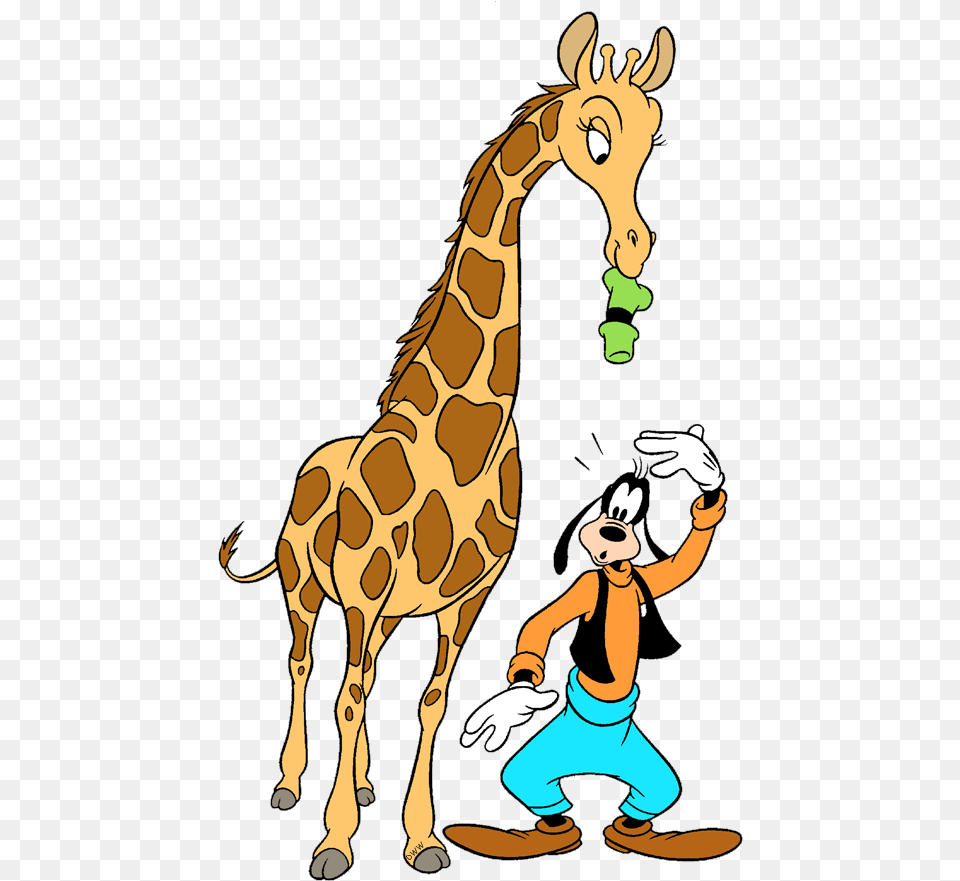 Giraffe Clipart Disney Giraffe, Person, Animal, Mammal, Wildlife Png Image