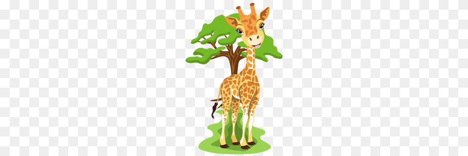 Giraffe Clipart Girrafe, Animal, Mammal, Wildlife Png