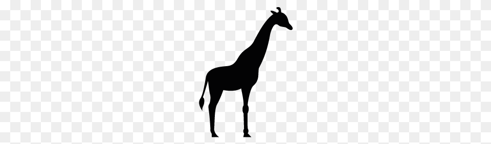 Giraffe Clipart Shadow, Animal, Mammal, Horse Png Image