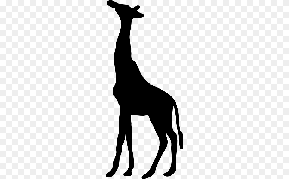 Giraffe Clipart Silhouette, Animal, Kangaroo, Mammal, Stencil Png Image