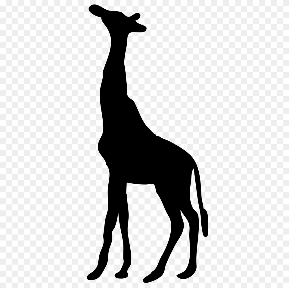 Giraffe Clipart Transparent Background, Gray Free Png Download