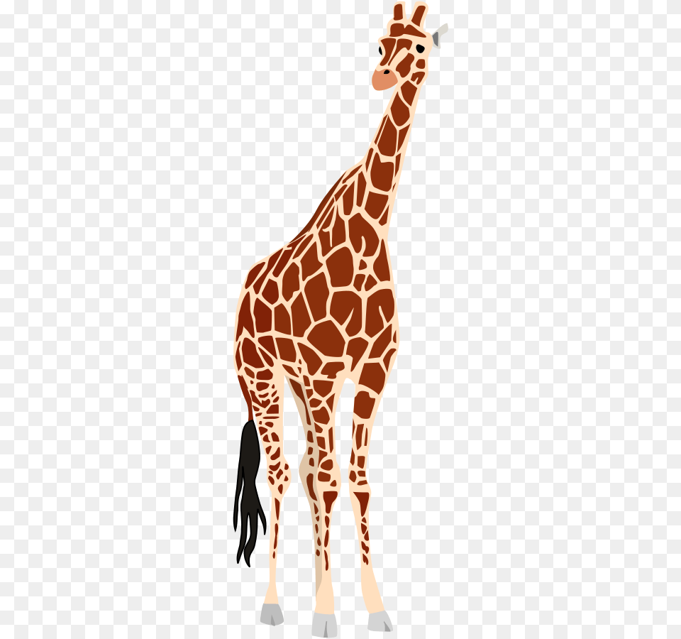 Giraffe Clipart Vector Clip Art Giraffe Vector, Animal, Mammal, Wildlife Png