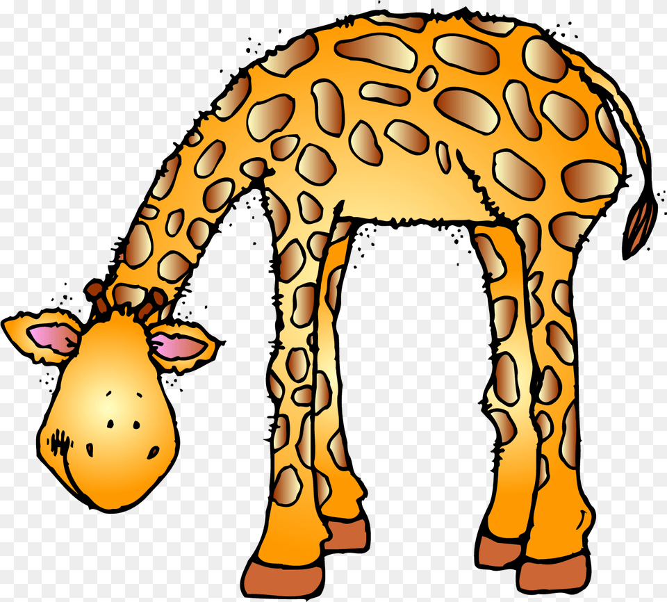 Giraffe Clipart Zoo Animal Transparent Clipart Zoo Animals, Baby, Person, Mammal, Wildlife Png Image