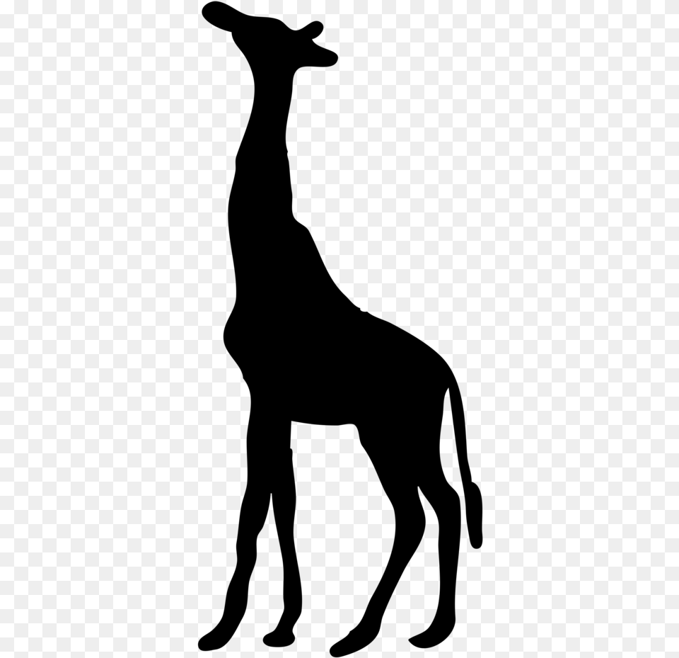 Giraffe Contour Clipart, Gray Free Png