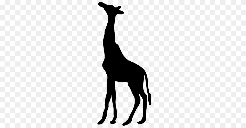 Giraffe Contour Vector Clip Art, Gray Png Image