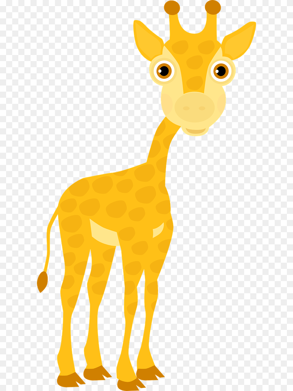 Giraffe Cub Zoo Picpng Safari Animals Transparent, Animal, Mammal, Wildlife, Dinosaur Free Png