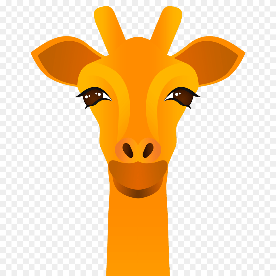 Giraffe Face Clipart, Animal, Deer, Mammal, Wildlife Free Png Download