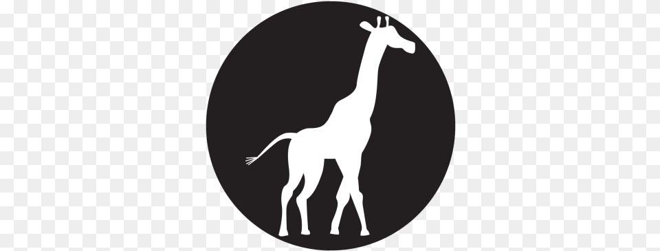 Giraffe Gobo Arsenal Tube Station, Animal, Mammal, Stencil, Antelope Free Png Download