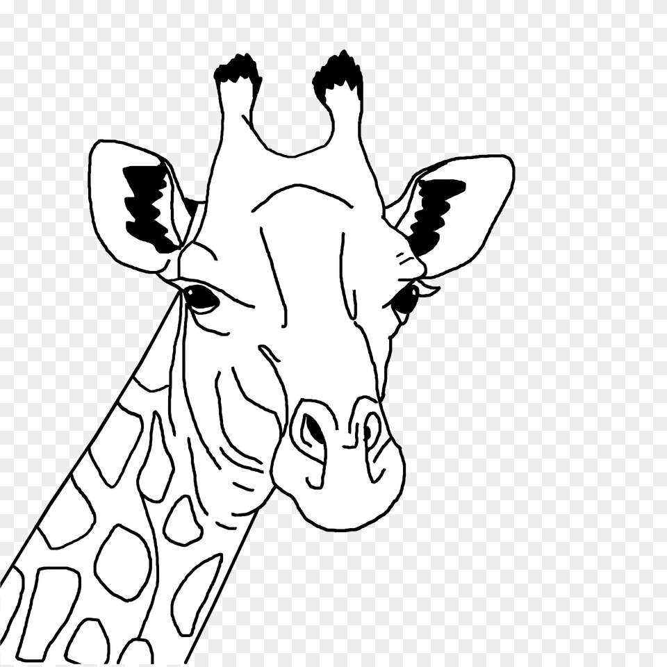Giraffe Head Black And White Clipart, Stencil, Person, Animal, Mammal Png Image