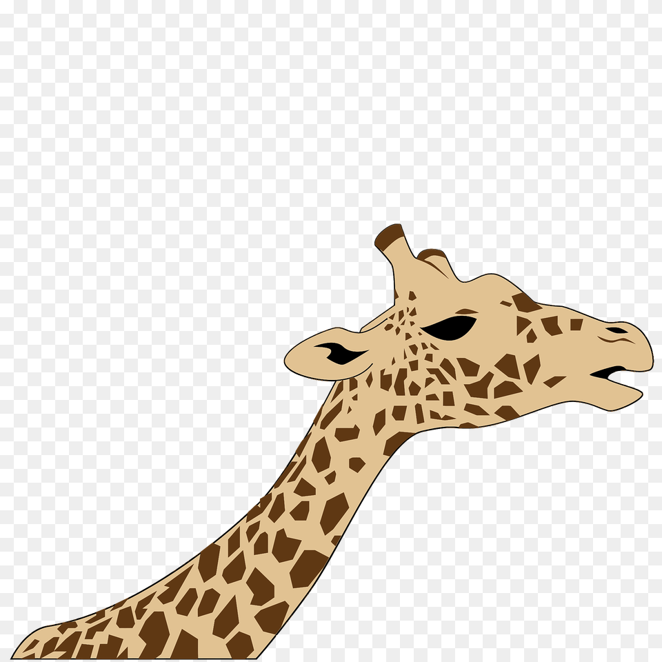 Giraffe Head Clipart, Animal, Mammal, Wildlife Free Png Download