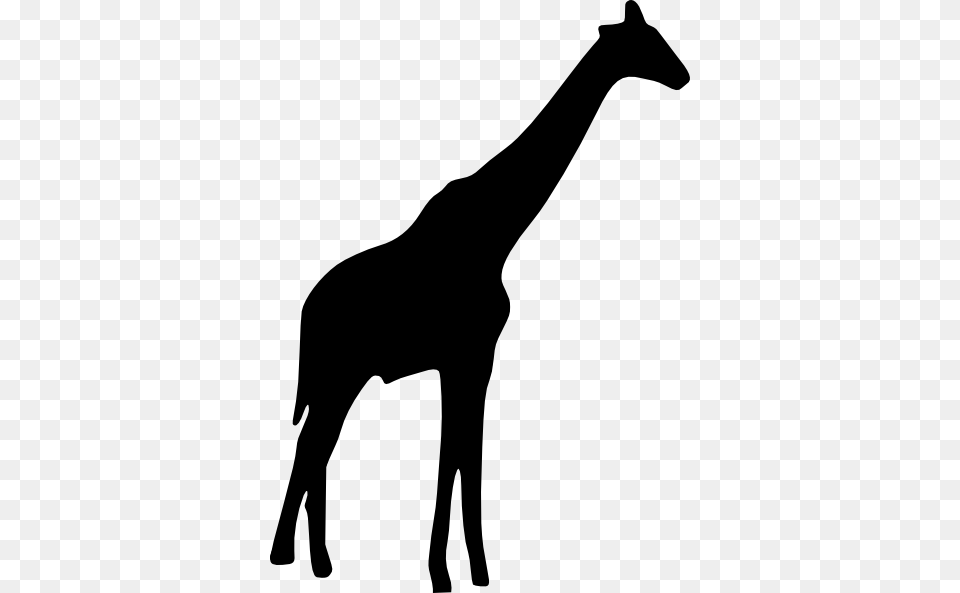 Giraffe Head Clipart Black And White Giraffe Black And White, Silhouette, Animal, Kangaroo, Mammal Free Png Download