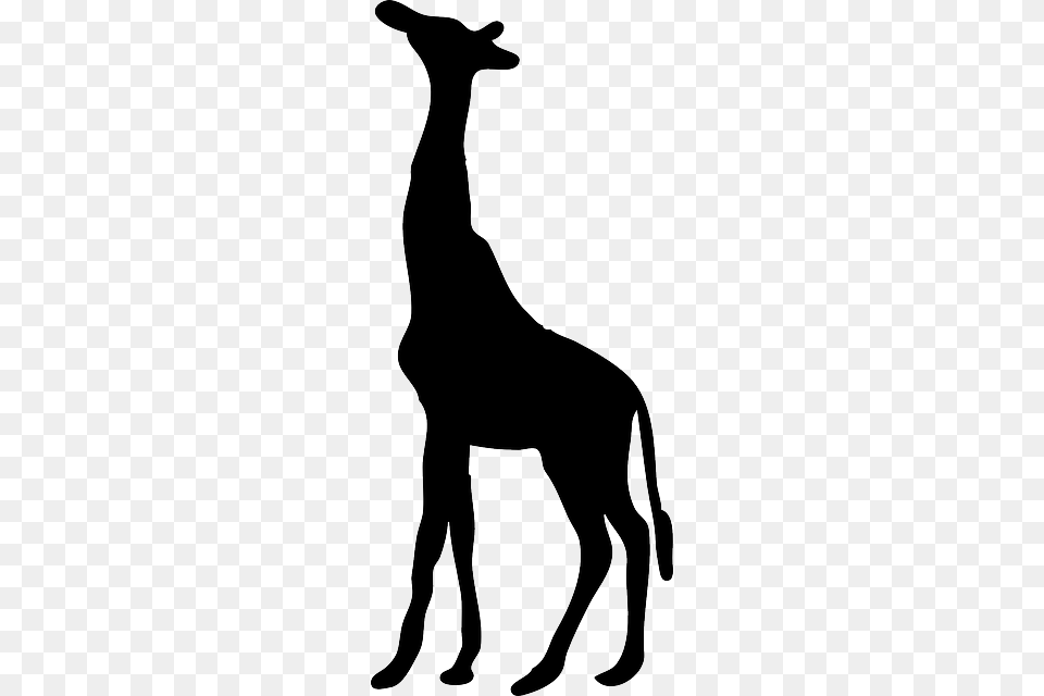 Giraffe Head Silhouette Clip Art, Stencil, Animal, Canine, Dog Free Transparent Png