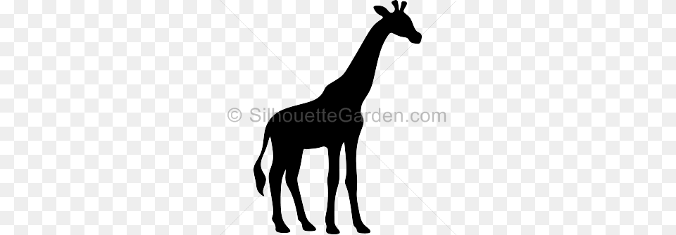 Giraffe Head Silhouette Clipart, Animal, Mammal, Wildlife, Horse Free Transparent Png