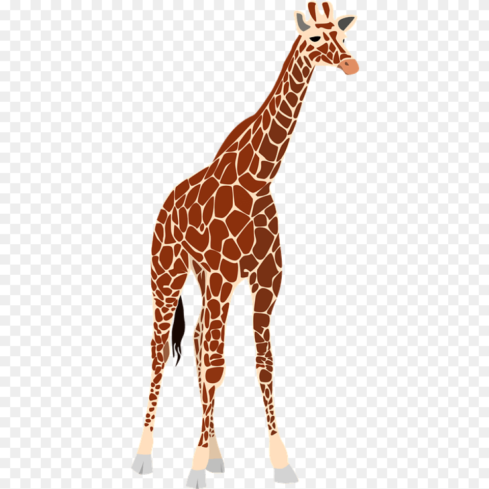 Giraffe Images Realistic Giraffe Clip Art, Animal, Mammal, Wildlife Free Transparent Png