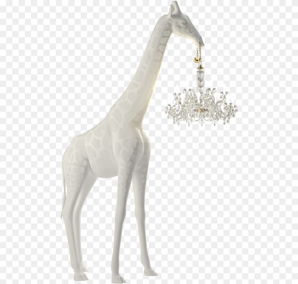 Giraffe In Love, Chandelier, Lamp, Animal, Mammal Free Transparent Png