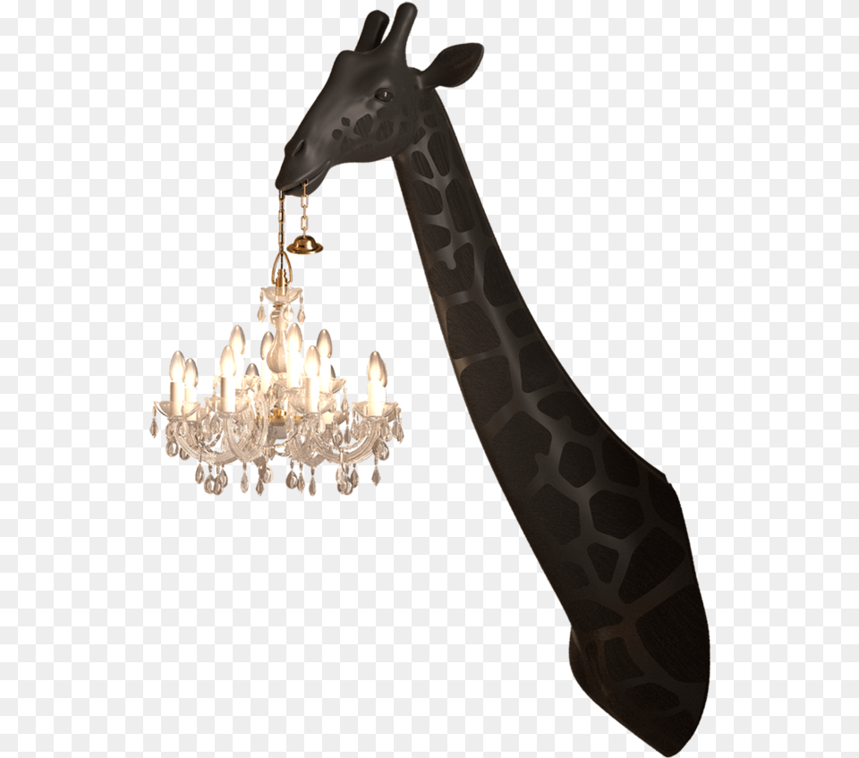 Giraffe In Love Wall Lamp, Chandelier Png