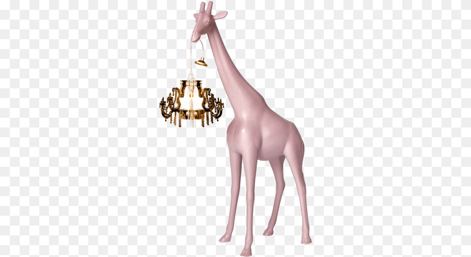 Giraffe In Love Xs 2021 Playful Design Icon Giraffe In Love Lamp, Chandelier, Animal, Mammal, Wildlife Free Transparent Png